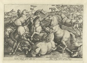Tolv kampheste Hesteracer fra de kongelige stalde i Don Juan af Østrig (serietitel) af Hendrick Goltzius