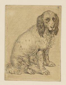  af Hendrick Goltzius