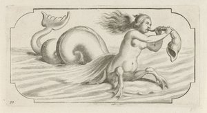 Kvindefigur blæser på en skal Nouveau Livre des Dieux et Deeßes De la Marine Bouckje of Sea Gods and Goddesses (serietitel)