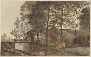 Gård med drikkeko på Biltstraat i Utrecht