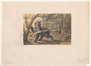 bjørn i en fælde Wildbow (titel på objekt) af Hendrik Adriaan Christiaan Dekker