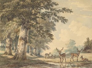 Hjorte under bøgetræer om vinteren, 1853.