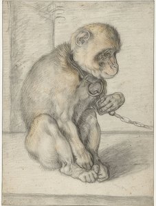 En siddende abe på en kæde. 1592-1602 af Hendrik Goltzius