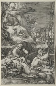 Passionen. af Hendrik Goltzius