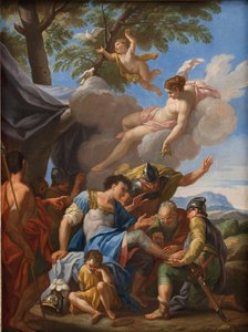 Venus bringer simple til den sårede Aeneas af Hendrik Krock