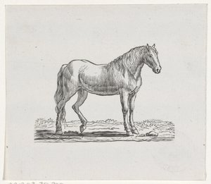 Hest af Hendrik Numan