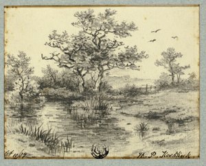 Træer ved Dam