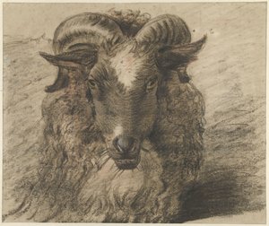 Hovedet af en vædder af Hendrik Stokvisch