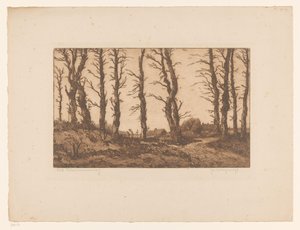 Oud Blaricummerweg (original titel på objekt) af Hendrik Weegewijs (signed by artist)