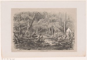 Træer blæst ned på Jacobalaan efter stormen den 28. maj 1860 Jacobalaan (titel på objekt) Album med ti litografiske skitser, forestillende Tooneelen af ​​ødelæggelsen, ophidset af stormen den 28. maj 1860 i 