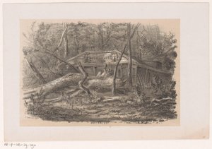 Træ blæst ned ved Buitenlust efter stormen den 28. maj 1860 Buitenlust (titel på objekt) Album med ti litografiske skitser, forestillende Tooneelen af ​​ødelæggelsen, ophidset af stormen den 28. maj 1860 i 
