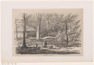 Træ blæst ned i klubben efter stormen den 28. maj 1860 Socialt telt (titel på objekt) Album med ti litografiske skitser, forestillende Tooneelen af ​​ødelæggelsen, ophidset af stormen den 28. maj 1860 i 