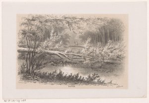 Træ blæst, efter stormen den 28. maj 1860 Dam (titel på objekt) Album med ti litografiske skitser, forestillende Tooneelen af ​​ødelæggelsen, ophidset af stormen den 28. maj 1860 i 