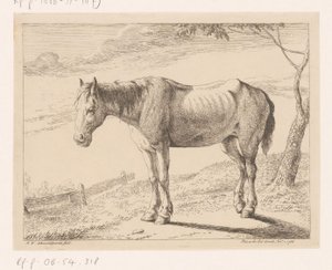 Hest Forskellige dyr (serietitel)