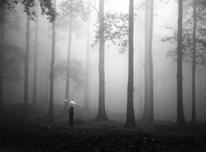 Misty Woods-paraply af Hengki Lee