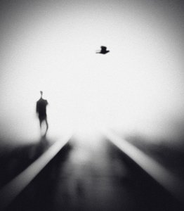 En ensom mand og en flyvende fugl af Hengki Lee