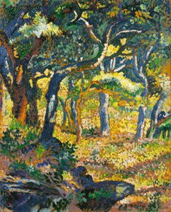 En clearing i Provence (undersøgelse)