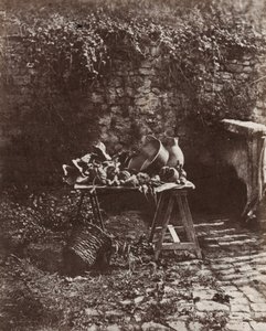 Stilleben: Gryde, kande og grøntsager på et bord af savbukke, ca. 1852 (foto)