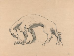 Løvinde i profil