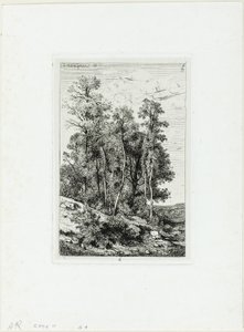 Birke og Eg af Henri-Joseph Harpignies