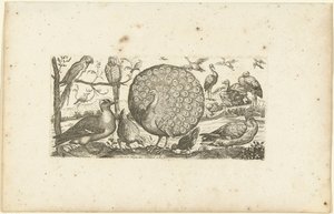 Atten fugle Fugle (serietitel) af Henri Le Roy