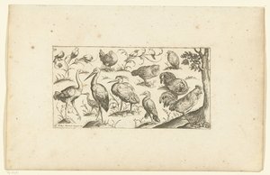 Femten fugle Fugle (serietitel) af Henri Le Roy