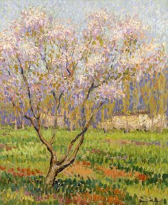Æbletræ i blomst; Æbleblomster, af Henri Martin