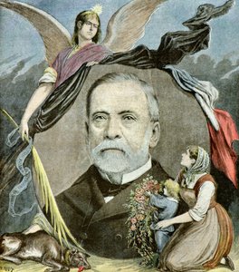 Portræt af Louis Pasteur,1895 (Illustration) af Henri Meyer