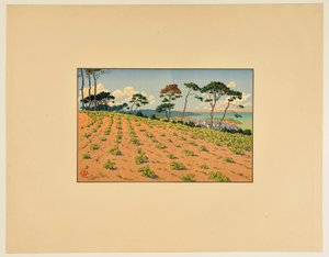 [Douarnenez set fra Route du Ris] af Henri Rivière