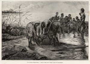 En flodhesteslagterbutik på bredden af en centralafrikansk flod. Gravering af Henri Thiriat for at illustrere historien "" La mission Crampel"", af Albert Nebout (1862-1939), i 1890, i Le tour du Monde 1892, instrueret af Edouard Charton (1807-1891), Hache af Henri Thiriat
