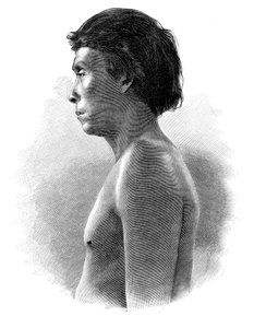 Guatsu Indian, Mellemamerika, c1890