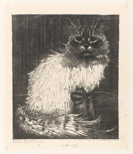 Bonte Angora (original titel på objekt)