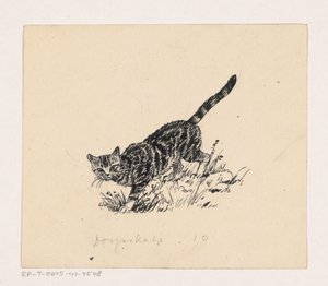 Kat af Henri Verstijnen