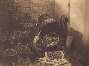 [Stilleben med halmkurve, kost, åbnet kartoffelsæk og potteplanter].