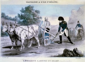 Napoleon I (1769-1821) a Saint Helene: kejseren pløjer en fure (30/06/1816) Skurkens litografi. 1816 Ile d