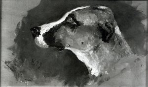 Hoved af en hund med korte ører, 1879 af Henri de Toulouse Lautrec