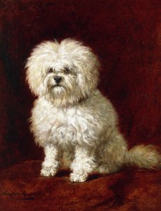 En puddel, af Henriëtte Ronner Knip