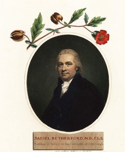 Portræt af Daniel Rutherford, botaniker.1805 (gravering) af Henry (after) Raeburn