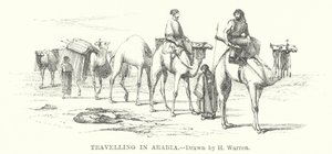 Rejser i Arabien (gravering)