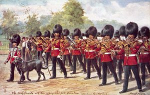 De irske garder med deres regimentskæledyr marcherer i parken af Henry A. Payne