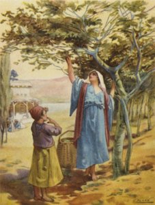 Indsamling af figner (farve litho)