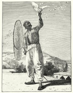 Snarrende fugle i hustop i øst (litho) af Henry Andrew Harper