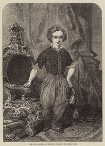 Hans Kongelige Højhed Prinsen af Wales, i hans Fødselsdagsdragt af Henry Anelay