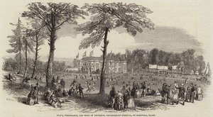 Peace, Temperance, and Bond of Universal Brotherhood Festival, i Hartwell, Bucks af Henry Anelay