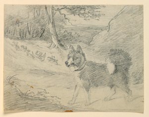 Studie af en elghund af Henry Bernard Chalon