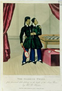 De siamesiske tvillinger, først opdaget under fiskeri på bredden af Siam-floden af Mr. R. Hunter, 1829 af Henry Berthoud