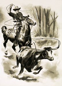 En cowboy tover en stut fra hesteryg med en lasso