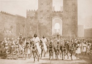Cyrus