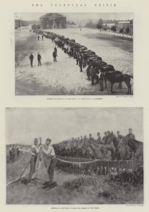 Transvaal-krisen af Henry Charles Seppings Wright