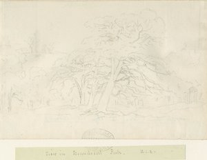 Beaudesert Park: blyantstegning, nd [1788-1855]